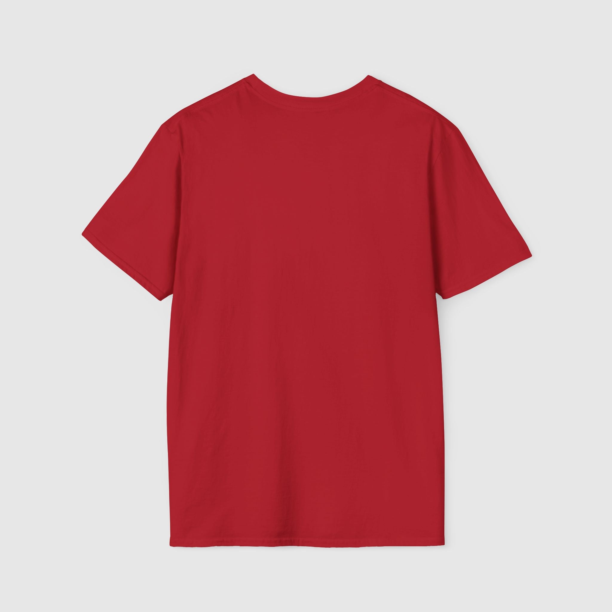 Dillon Panthers Football Graphic Tee