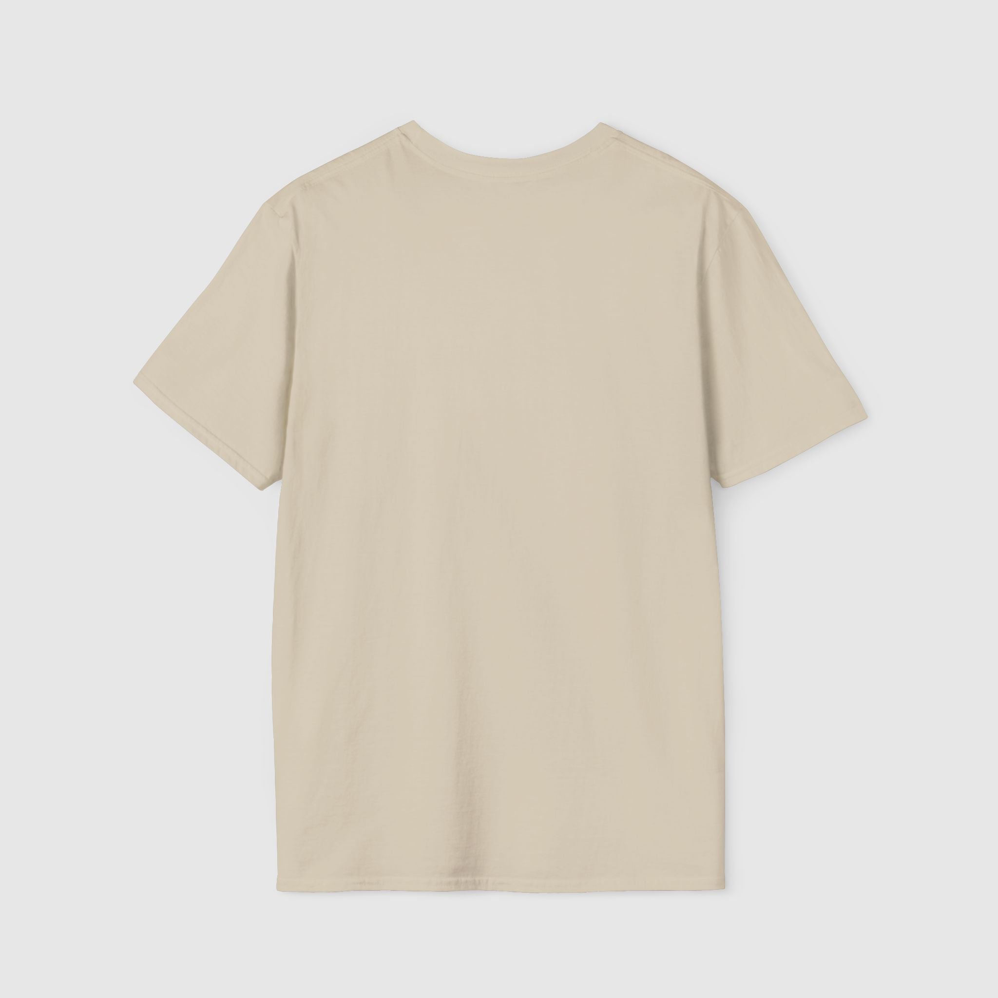 Dillon Panthers Football Graphic Tee